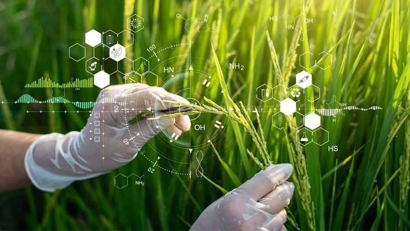 Camagüey strengthens sustainable production with applied science